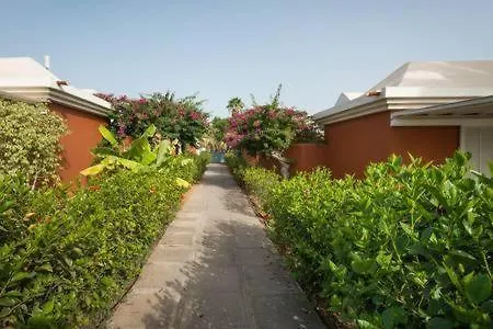 Melocotones In - Playa Del Ingles マスパロマス